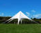 High quality outdoor shade for events patio white 10m Star tent