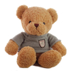So Cute Motion Sensor Make Your Own Voice Recording Recordable Talking Stuffed Toys