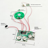 Custom Pre-recording And Recordable Music Greeting Card Sound Chip Module for Greeting Card