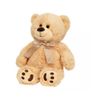 PERSONAL Recordable Plush 15" Talking Teddy Bear with Heartbeat Bear Stuffed Animal Voice Recorder