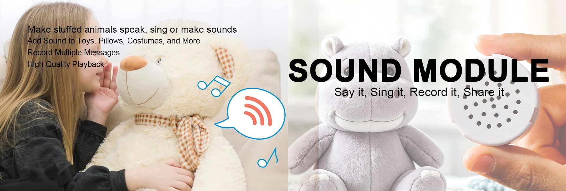 20+ Years Experience Custom Sound Module for Toys