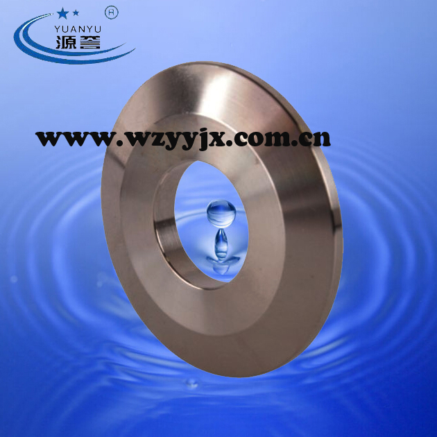 Stainless Steel Sanitary End Cap with Hole