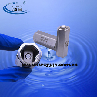 Stainless Steel Hexagon Check Valve