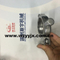 Stainless Steel Clamp Hanger ISO