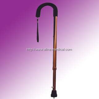 Walking Stick