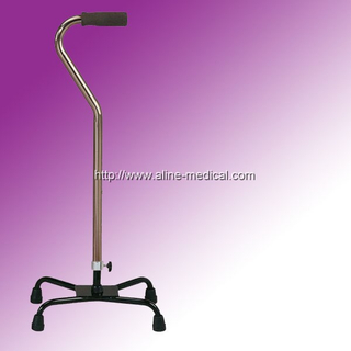 Walking Stick