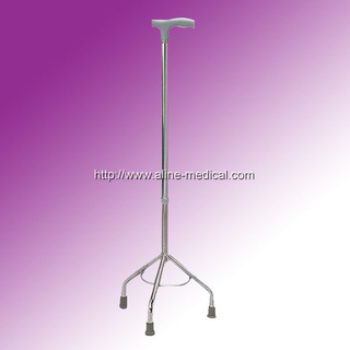 Walking Stick
