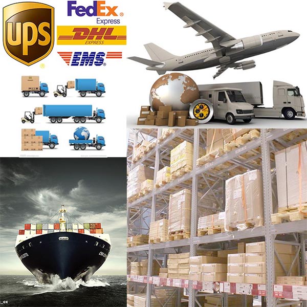 Custom Motion Sensor Sound Box and Talking Motion Sensor