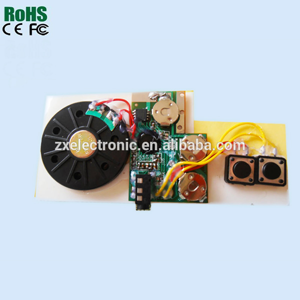 Recordable Sound Module With USB