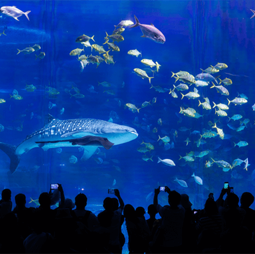 Efecto piezoeléctrico del material de cerámica piezoeléctrico de PZT