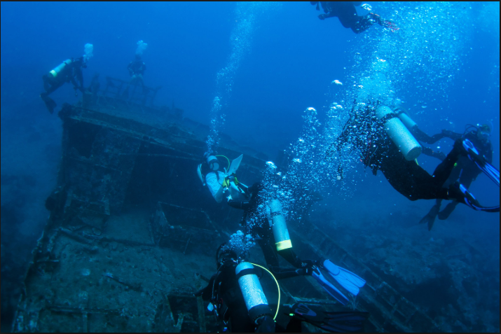 DQ6] F6T1 (CMF5W} F {$ VU) YF