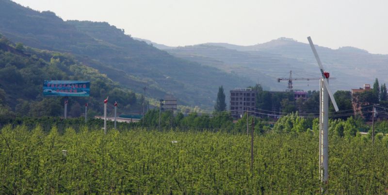 果园风机/风扇用作冰霜防护（FSJ-85）