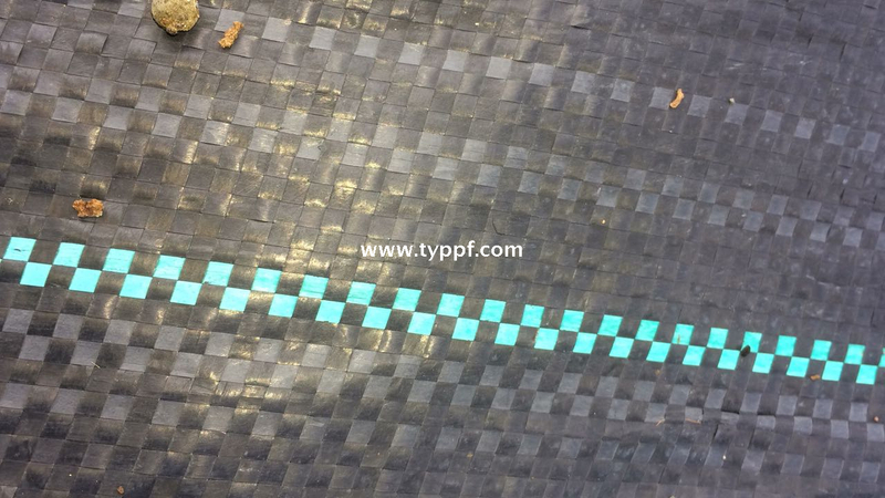 Tapis en tissu couvre-sol en plastique PP
