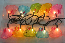 LED String Light Bkled0113
