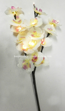 LED String Light BKLED0139