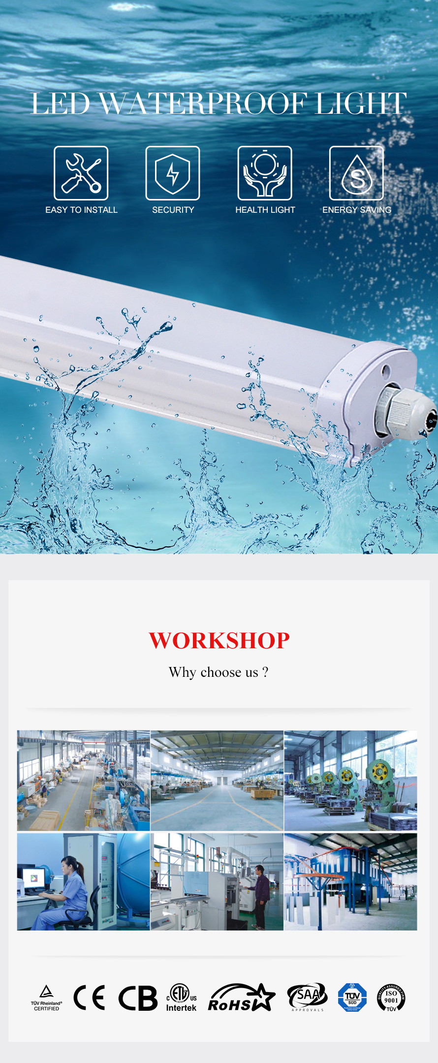 Fi-2000 Series LED Tri-Proof Light