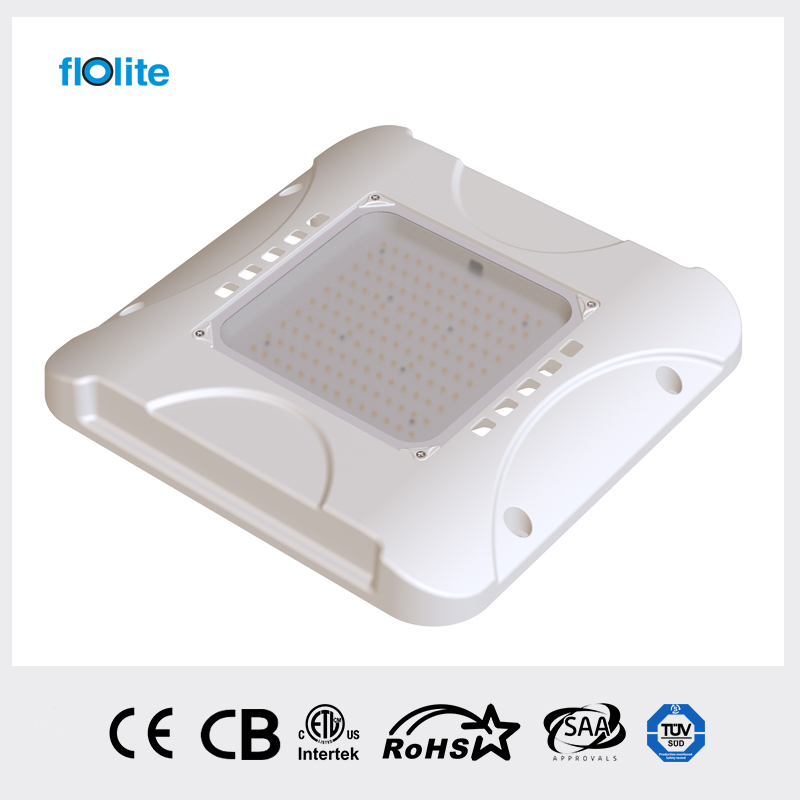 CP05A LED Canopy Light