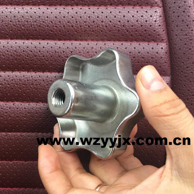 Stainless Steel Manway With Glass Cover