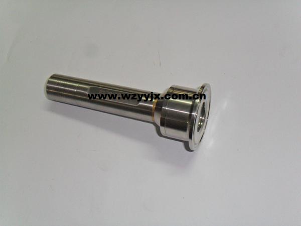 Stainless Steel LED Flesh Light Sight Glass
