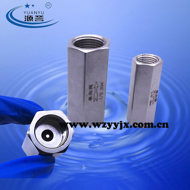 Stainless Steel Hexagon Check Valve