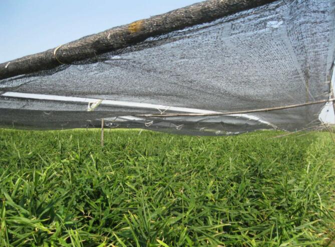 malla de sombreo impermeable