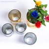 Luxury Electroplated Silver Glass Candle Jar 