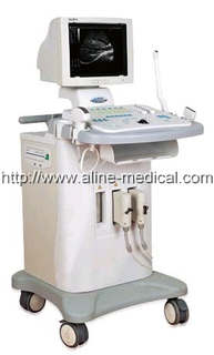 Digital Ultrasonic Diagnostic System