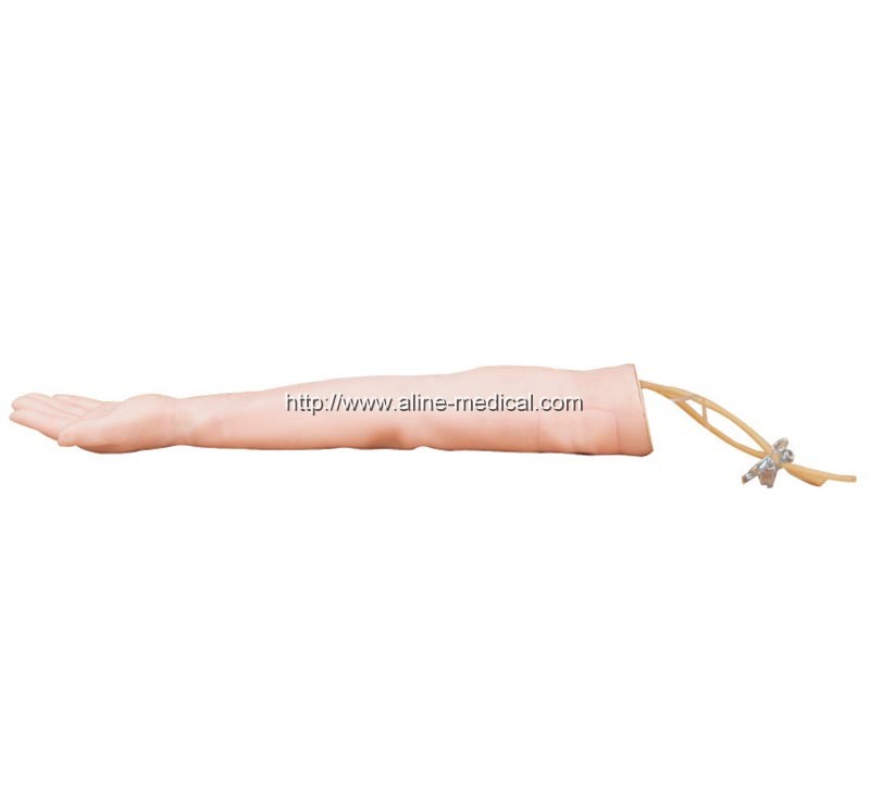 Injectable Training Arm Model (Without Set)