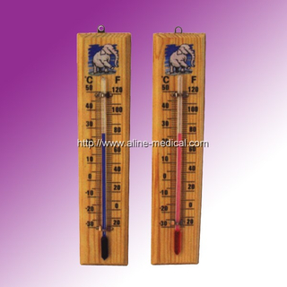 Family Thermometer