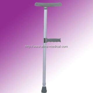 walking stick