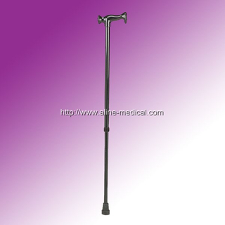 Walking Stick