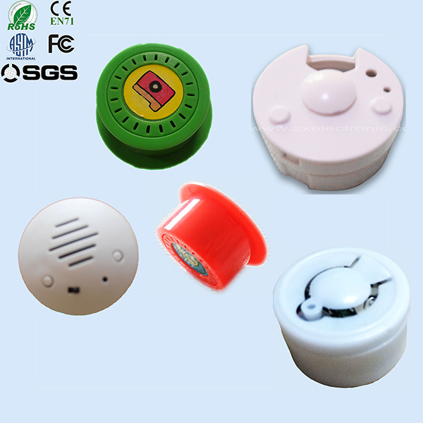 Custom Motion Sensor Sound Box and Talking Motion Sensor