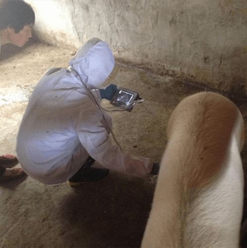 Dez Perguntas Sobre Discos Piezo e Cilindros Você Deverá Respondendo Verdadeiramente