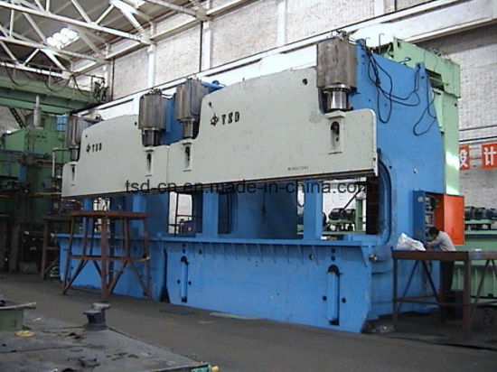 Prensa plegadora hidráulica en tándem CNC 2x300t (2-WE67K-300/4000)