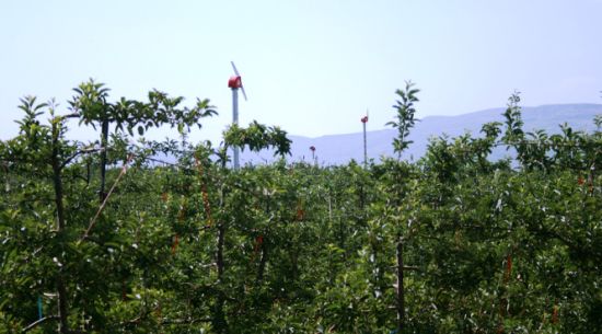 Orchard Fan alimentado por fuente de alimentación (FSJD-5.5)