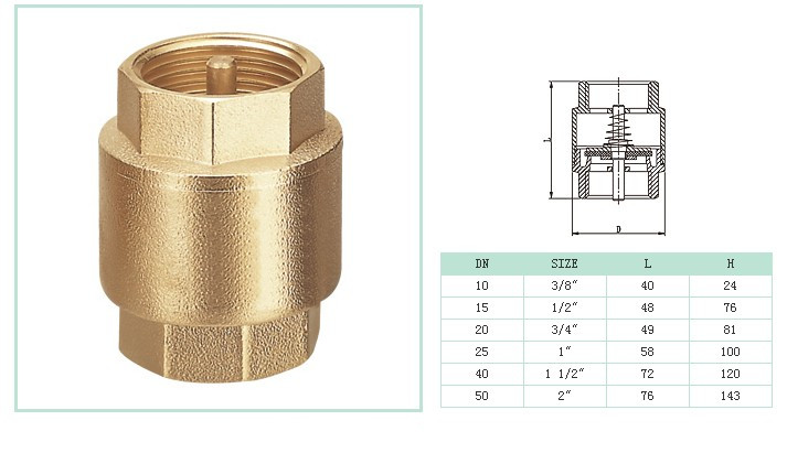 V&aacute;lvula de retenci&oacute;n de resorte de lat&oacute;n Pn16