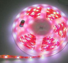 Flex LED Light Bkflex025