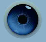 Cámara de retina del equipo oftálmico de calidad superior de China China