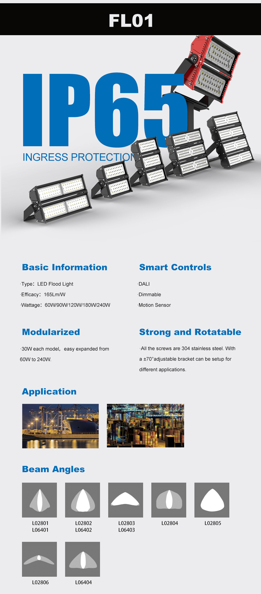 FL01 Series LED Flood Light