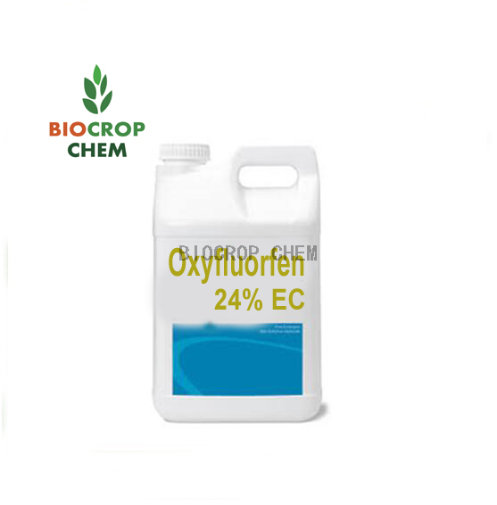 Oxyfluorfen (42874-03-3) 97% TC, 5% EC, 24% EC