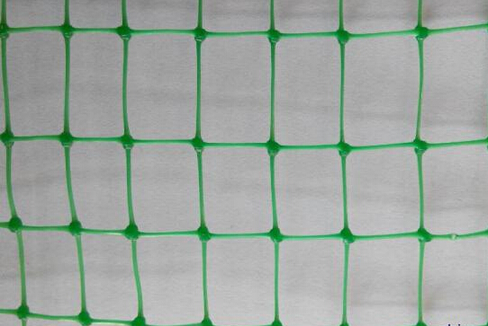 BOP Stretched PVC Mesh Trellis For Fruit Growing Protection