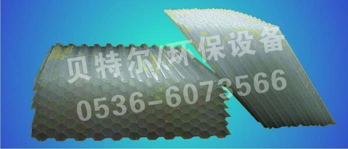 图片02.jpg