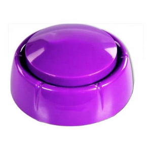 Talking Dice Sound Button Fully Loaded 102 Totally Random Phrases for Numbers 1-6 Great EZ Gaming Gift Fun Novelty Gag Classic