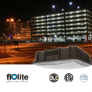 CP01A LED Canopy Light