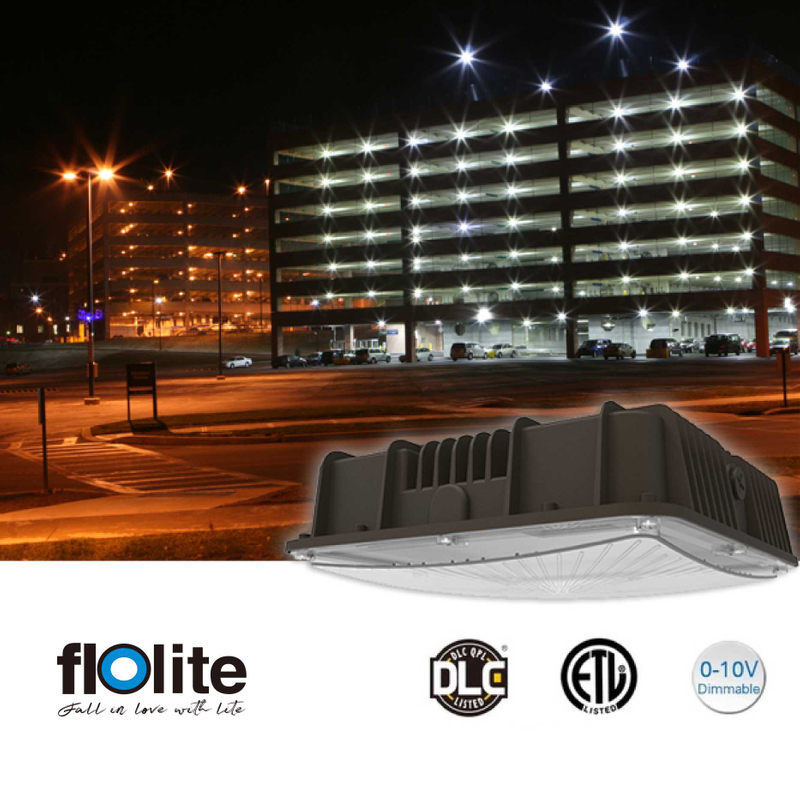 CP01A LED Canopy Light