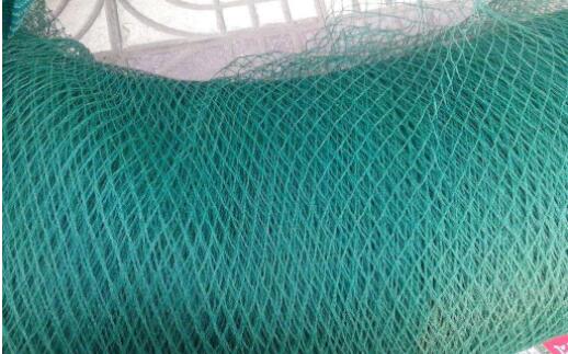 The Lawn and Garden Plastic Net