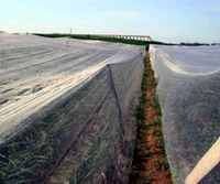 Flat Loom White Anti Insect Net