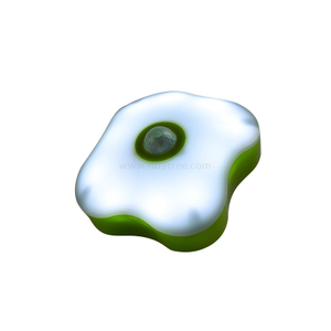 10LED LED Camping Lights&lanterns with Magnet And Hook， with Color Changing Function