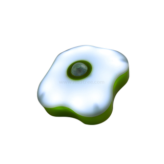 10LED LED Camping Lights&lanterns with Magnet And Hook， with Color Changing Function