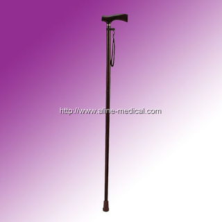 Walking Stick